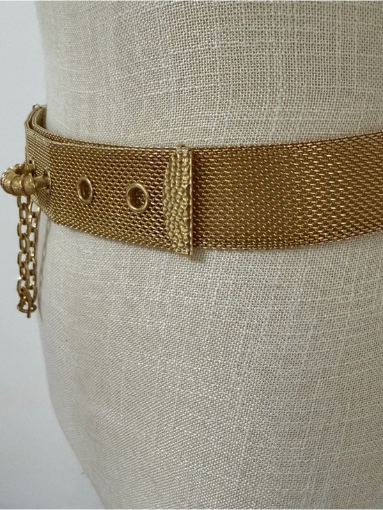 Vintage Sarah Coventry Gold Mesh with Chain Waist Belt Designer Style main image 13